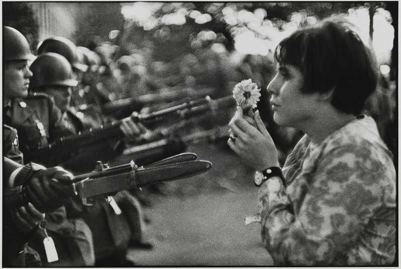 Une fleur contre les baïonnettes protégeant le Pentagone lors de la marche pour la paix au Vietnam du 21 octobre 1967