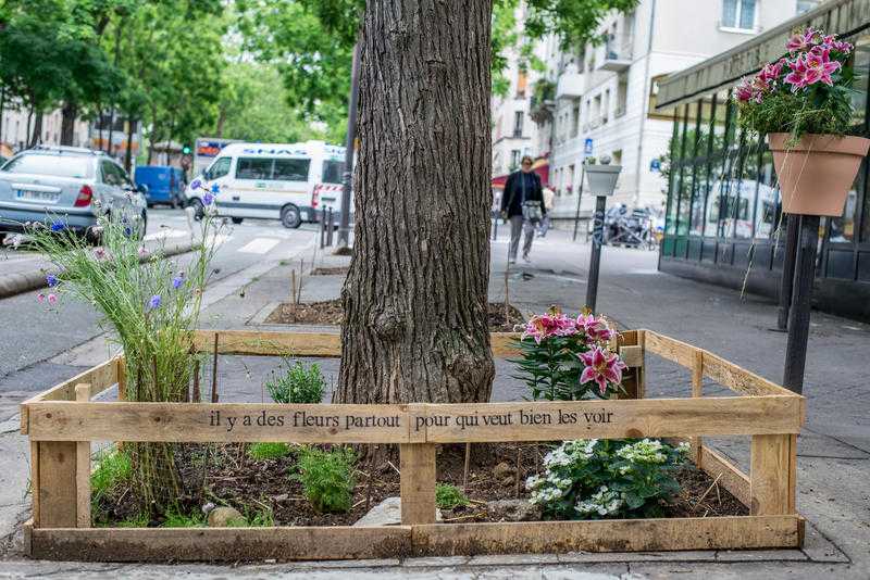 Permis de végétaliser, boulevard de Charonne, Paris 20e